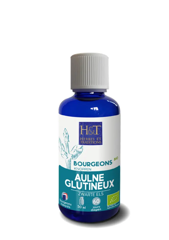 Bourgeon Aulne glutineux Bio