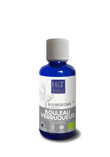 [H&T] Bourgeon Bouleau verruqueux