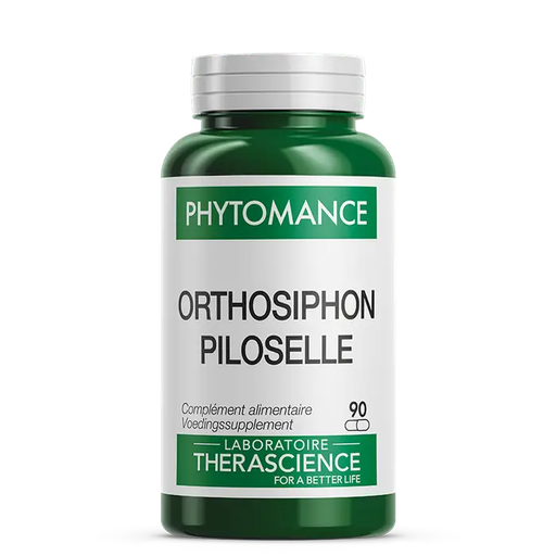 [Therascience] Orthosiphon Piloselle (90 gélules)
